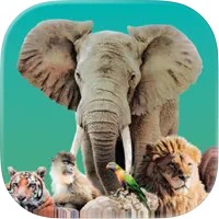Ark ova方舟动物园 1.0.5 下载-Yunix